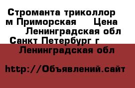 Строманта триколлор , м.Приморская . › Цена ­ 150 - Ленинградская обл., Санкт-Петербург г.  »    . Ленинградская обл.